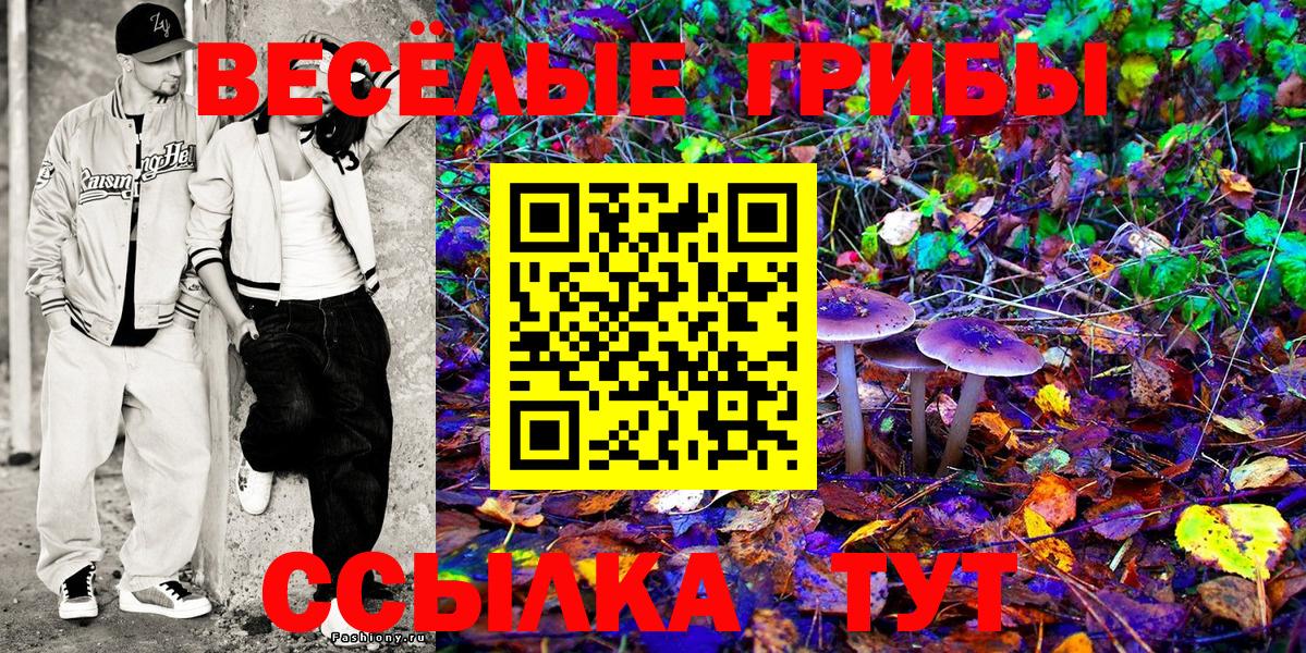 Сланцы  купить  цена  Вход с VPN  Галлюциногенные грибы Psilocybine cubensis  Псилоцибиновые грибы Magic Shrooms 