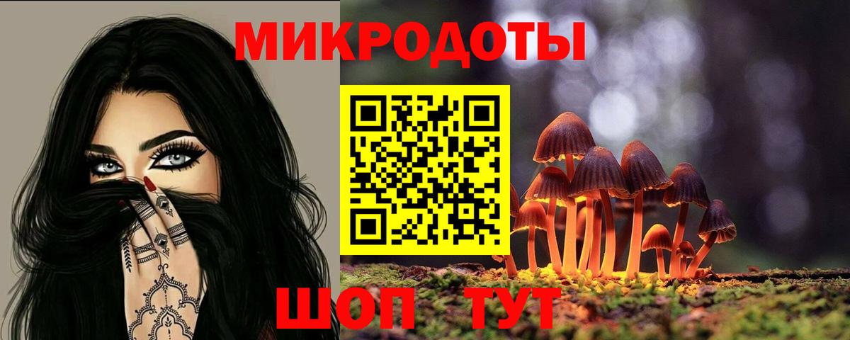 Галлюциногенные грибы Psilocybe Сланцы